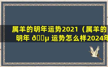 属羊的明年运势2021（属羊的明年 🌵 运势怎么样2024年）